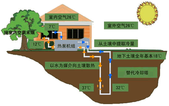 香港最精准马资料大全